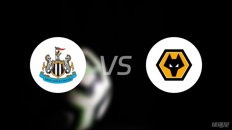 纽卡斯尔联vs狼队回放