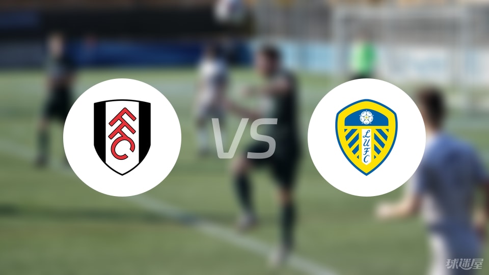 富勒姆vs利兹联回放