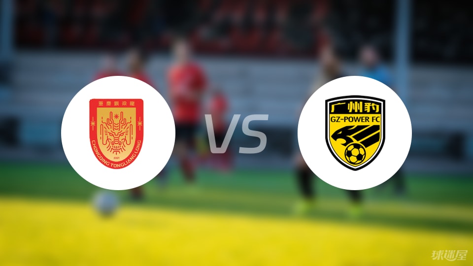 重庆铜梁龙vs广州豹回放