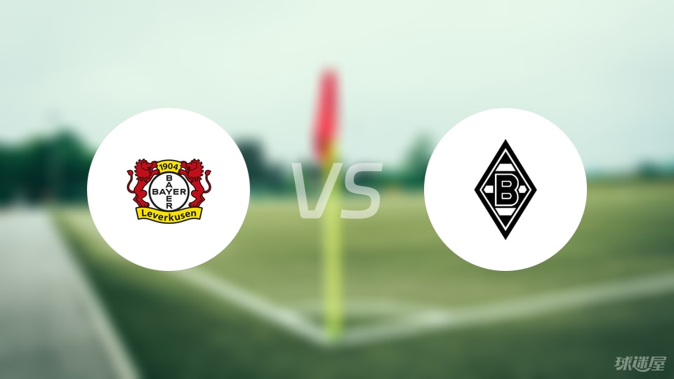 勒沃库森vs门兴比赛结果