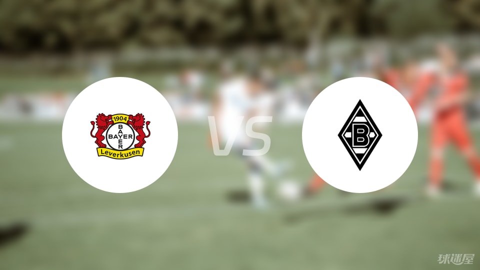 勒沃库森vs门兴回放