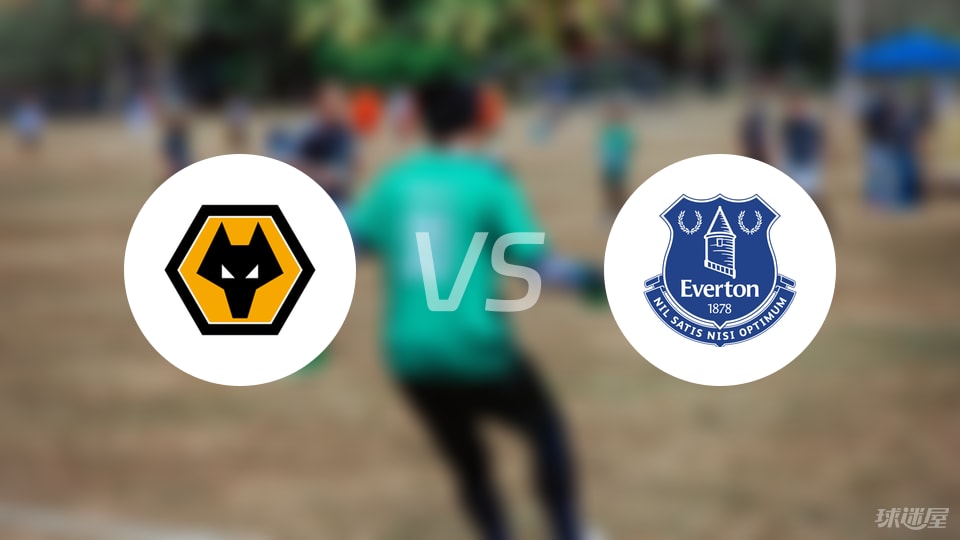 狼队vs埃弗顿伤病