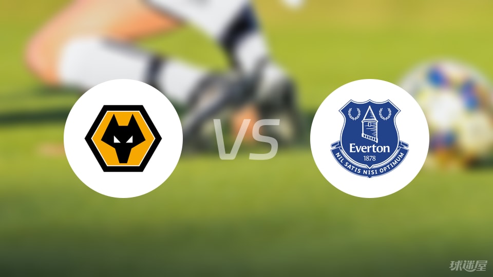 狼队vs埃弗顿预测分析