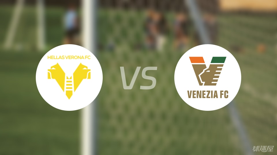 维罗纳vs威尼斯回放
