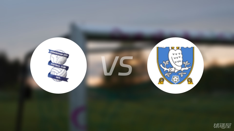 伯明翰vs谢周三首发