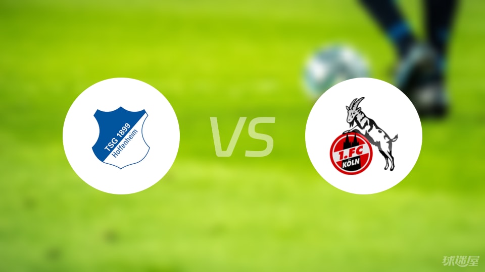 霍芬海姆vs科隆首发
