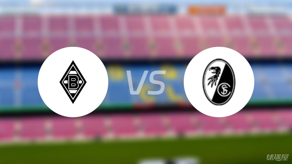 门兴vs弗赖堡伤病