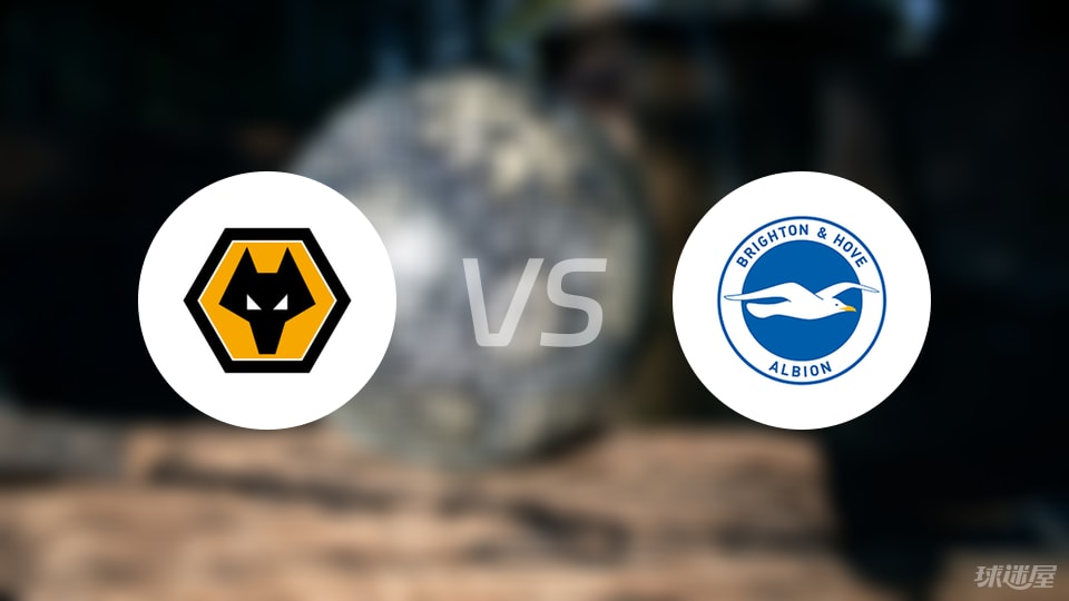 狼队vs布莱顿比赛结果