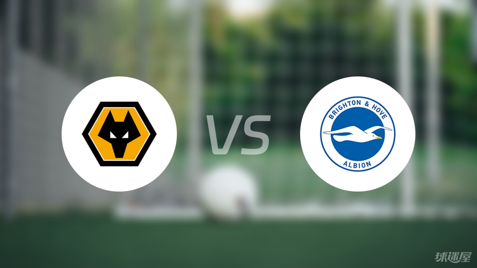 狼队vs布莱顿回放