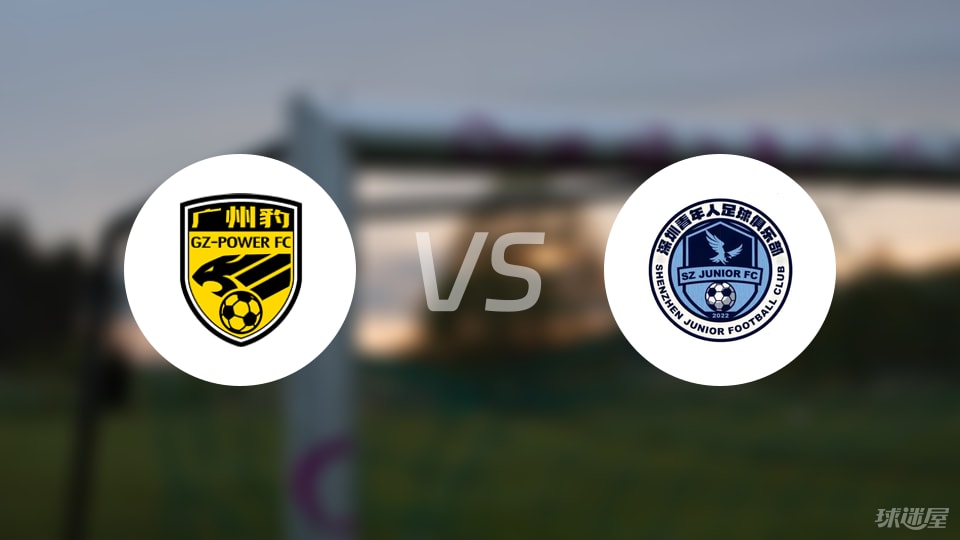 广州豹vs深圳青年人回放