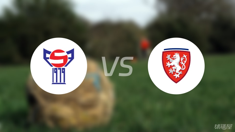 法罗群岛vs捷克回放