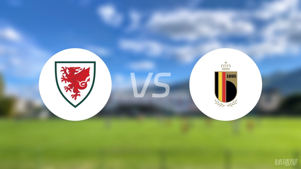 威尔士vs比利时伤病