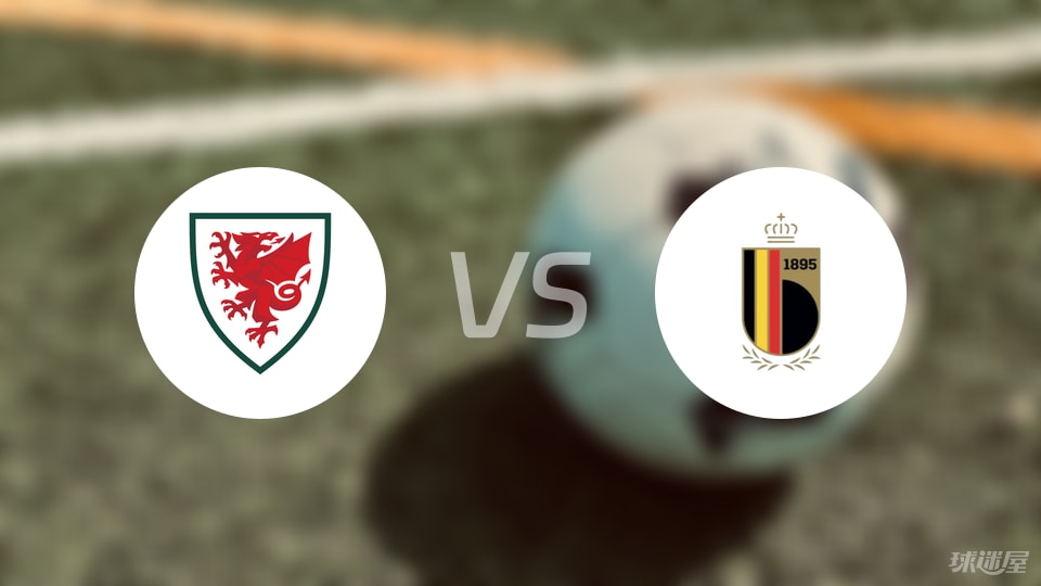 威尔士vs比利时回放