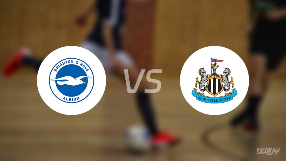 布莱顿vs纽卡斯尔联伤病