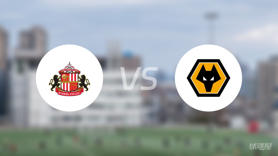 桑德兰vs狼队伤病