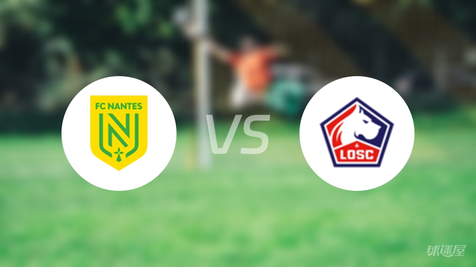 南特vs里尔伤病