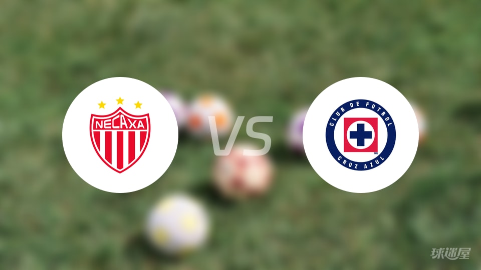 内卡萨vs蓝十字伤病