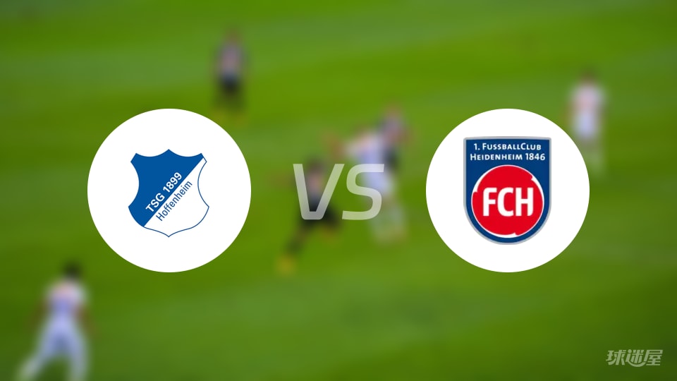 霍芬海姆vs海登海姆回放