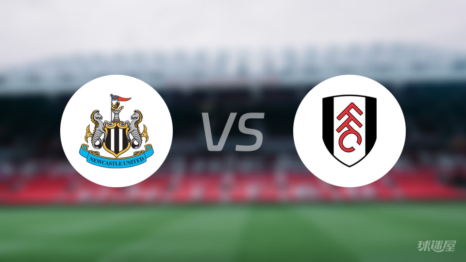 纽卡斯尔联vs富勒姆回放