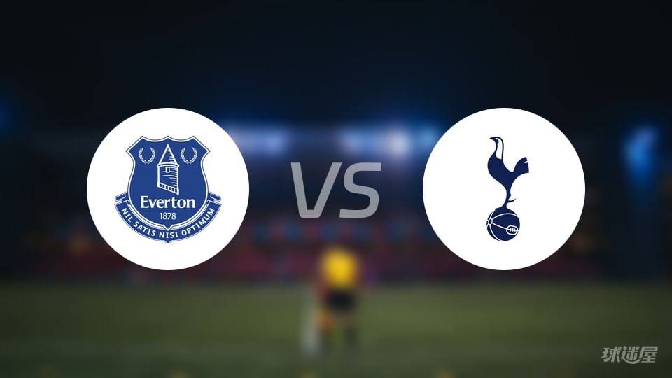 埃弗顿vs热刺伤病