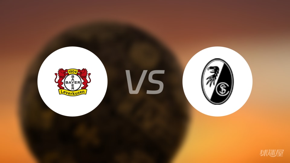 勒沃库森vs弗赖堡回放