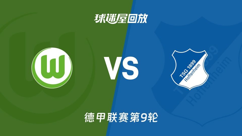 沃尔夫斯堡vs霍芬海姆回放