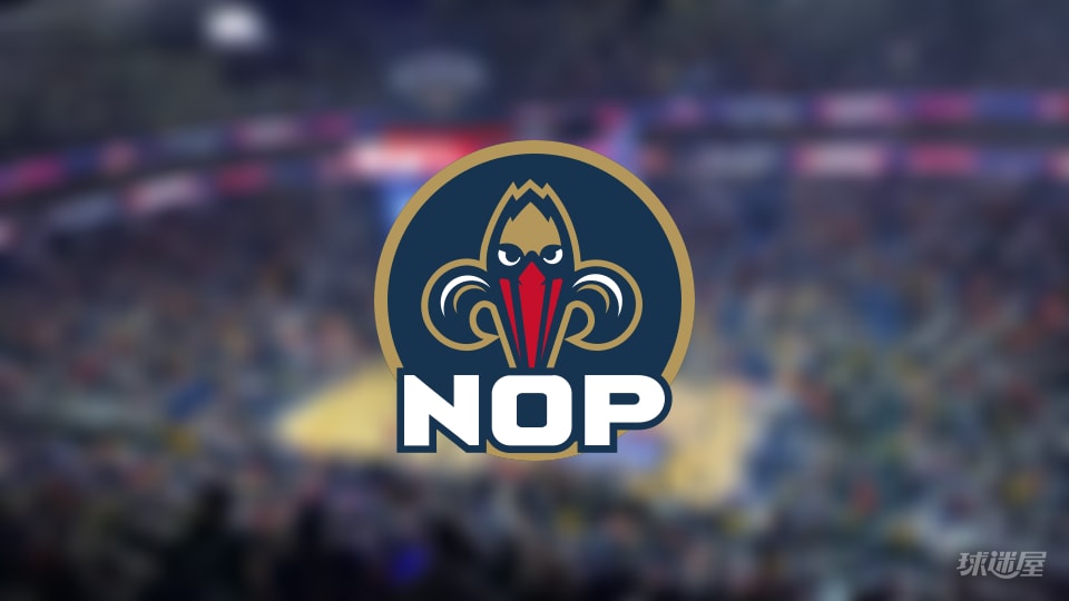 鹈鹕伤病报告：锡安因腿筋受伤无法出场(2025年11月09日)