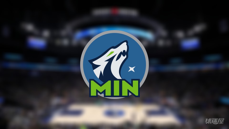 森林狼伤病报告：香农因脚受伤出战成疑(2025年11月10日)