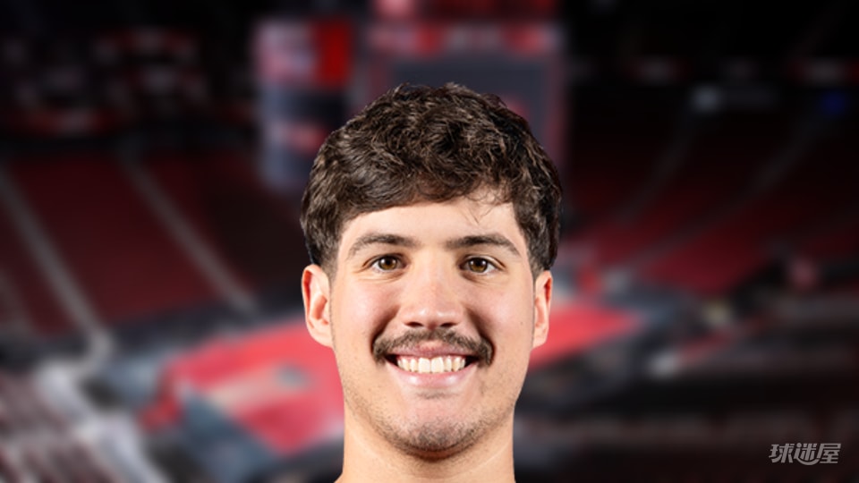 NBA每日抢断王：里德·谢泼德4抢断(2025年11月10日)