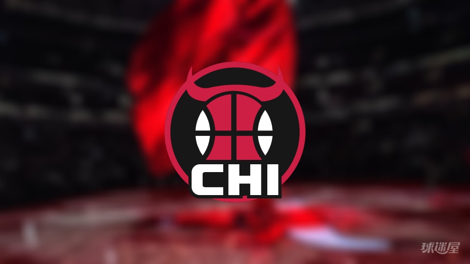 公牛伤病报告：吉迪因脚踝受伤出战成疑(2025年11月13日)