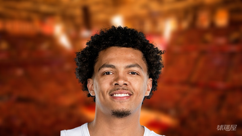 NBA每日盖帽王:小克雷格·波特4盖帽(2025年11月13日)