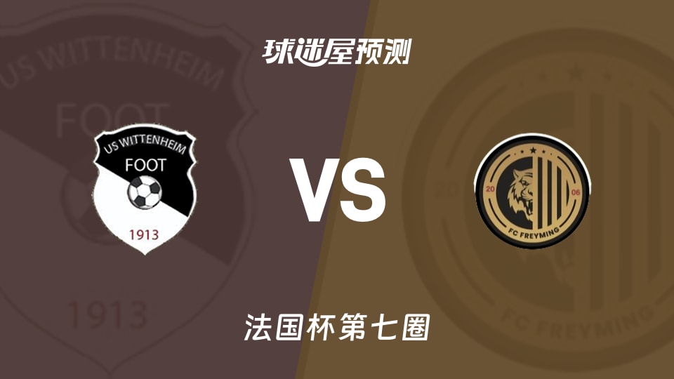 法国杯比赛前瞻：维特内姆vs弗赖明预测分析(2025年11月16日)