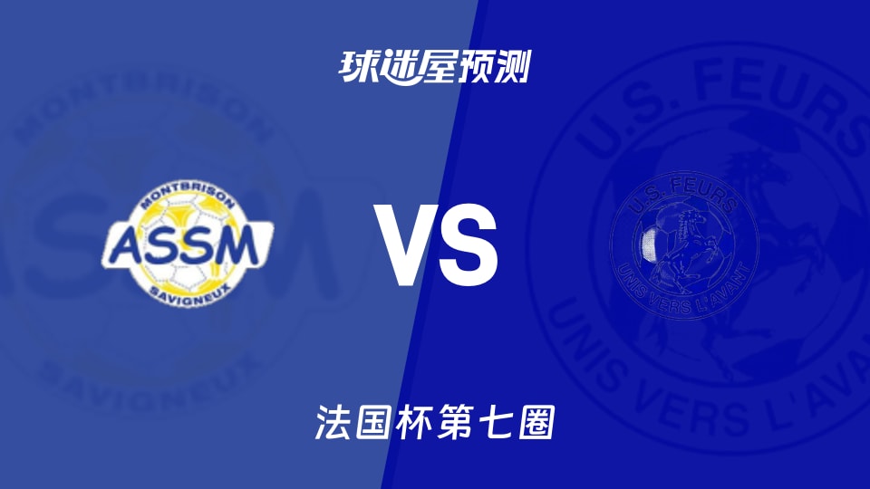 法国杯比赛前瞻:蒙特布里松vs费尔斯预测分析(2025年11月16日)