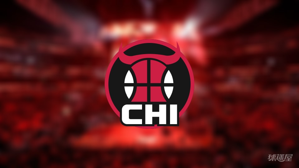 公牛伤病报告：吉迪因脚踝受伤出战成疑(2025年11月17日)