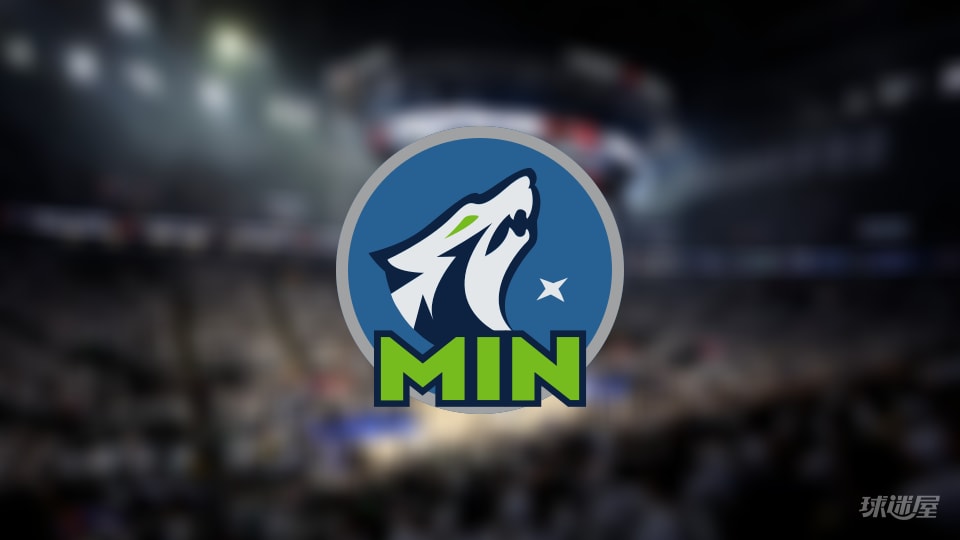 森林狼伤病报告：香农因脚受伤无法出场(2025年11月18日)