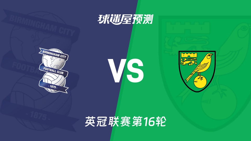 英冠比赛前瞻：伯明翰vs诺维奇预测分析(2025年11月22日)