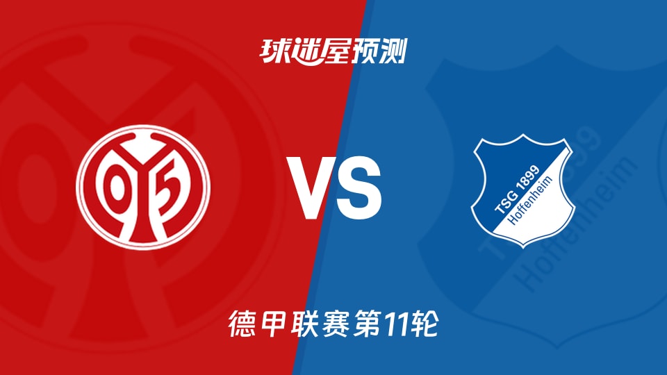德甲比赛前瞻：美因茨vs霍芬海姆预测分析(2025年11月22日)