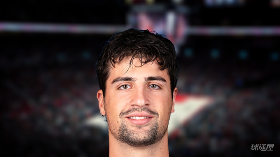 NBA每日助攻王：丹尼·阿夫迪亚14助攻(2025年11月22日)