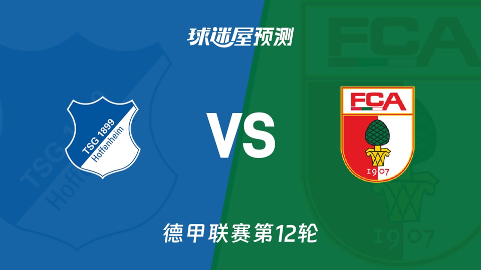 德甲比赛前瞻:霍芬海姆vs奥格斯堡预测分析(2025年11月29日)